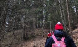 unadjustednonraw thumbefc