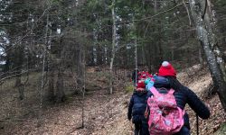 unadjustednonraw thumbefd