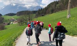 unadjustednonraw thumbf6a