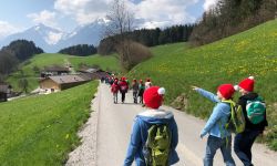 unadjustednonraw thumbf6b