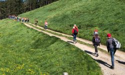 unadjustednonraw thumbca