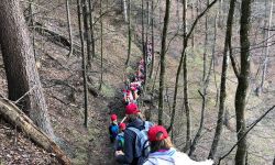 unadjustednonraw thumbe3