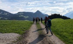 unadjustednonraw thumb