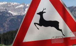 tirolkreis reise 2025 impressionen